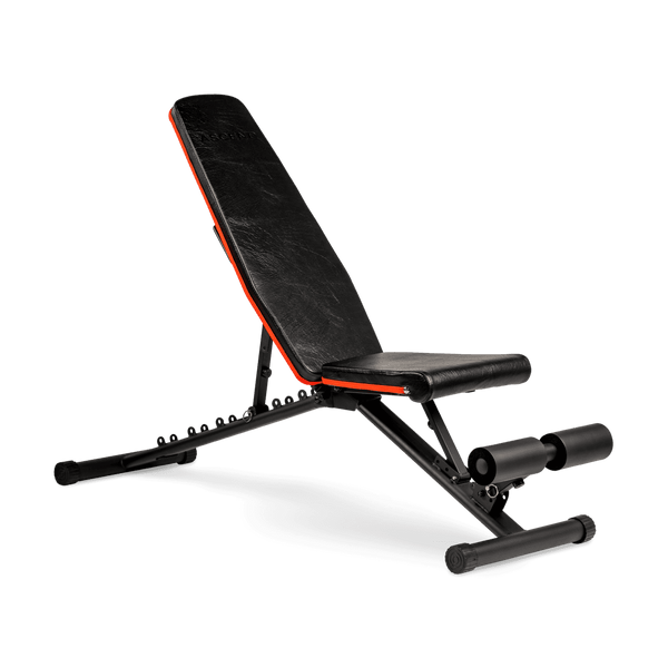 Ascend Adjustable and Foldable Bench